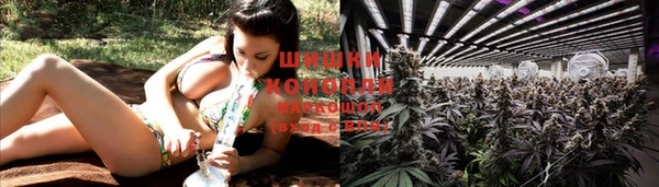стаф Балахна