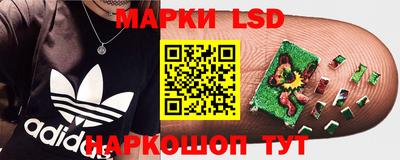 спайс Будённовск