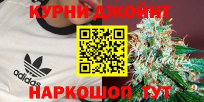 крисы Балахна