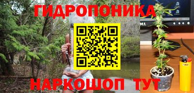 крисы Балахна