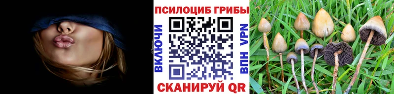 Псилоцибиновые грибы GOLDEN TEACHER  KRAKEN зеркало  Вязники  где купить наркотик 