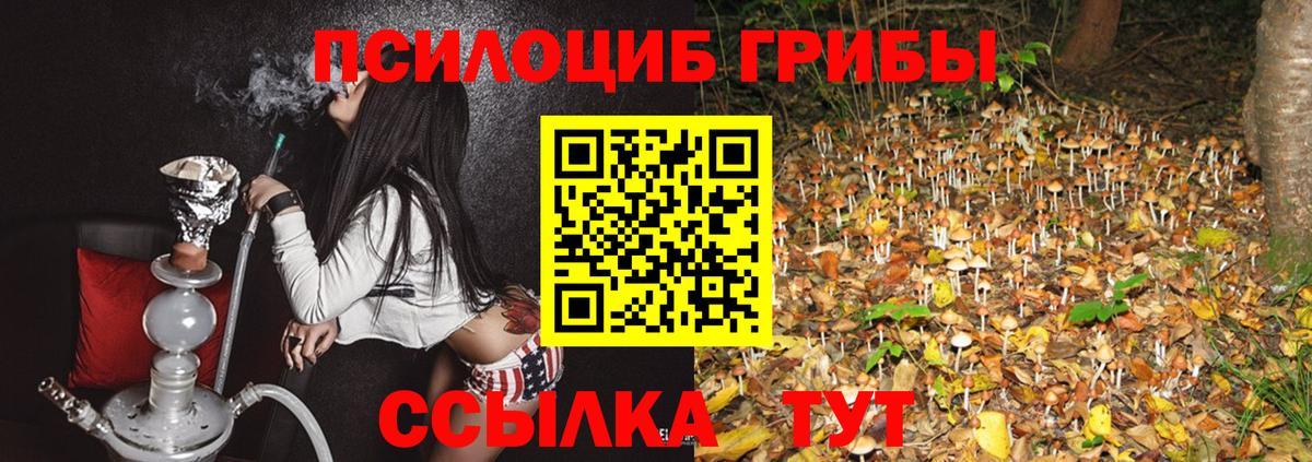 Псилоцибиновые грибы GOLDEN TEACHER Вязники