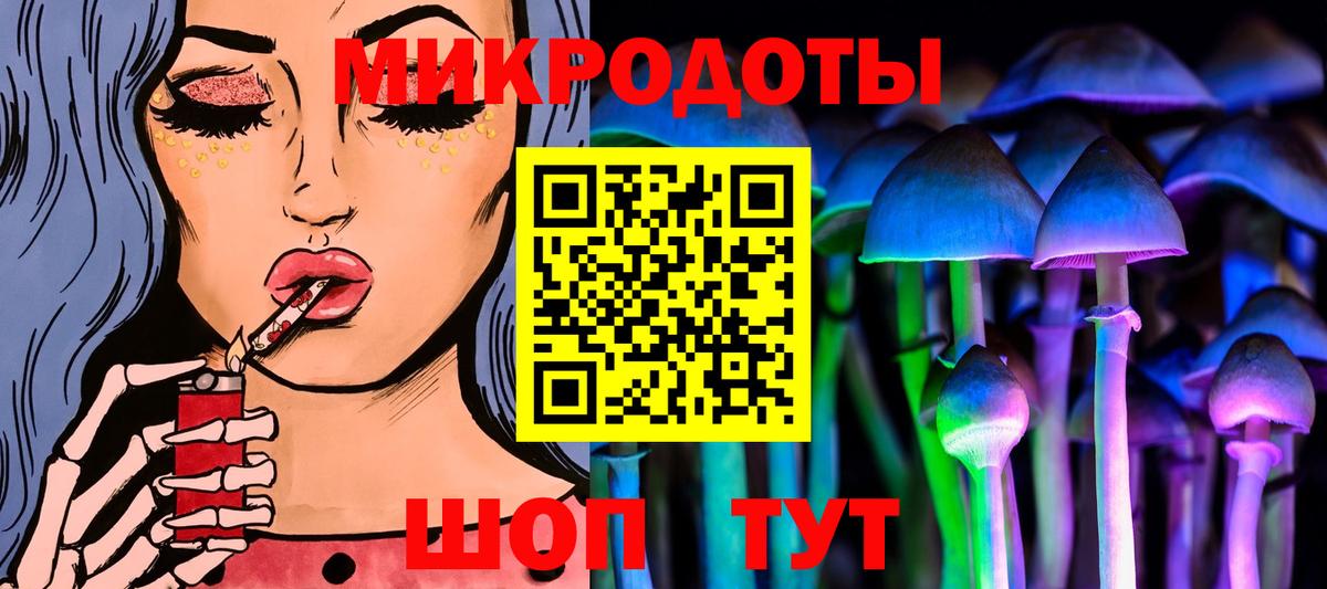 Вязники  Псилоцибиновые грибы Psilocybine cubensis  Вход с VPN 