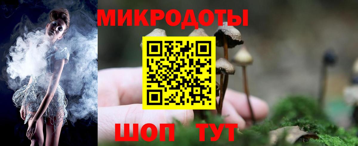 Псилоцибиновые грибы Cubensis Вязники